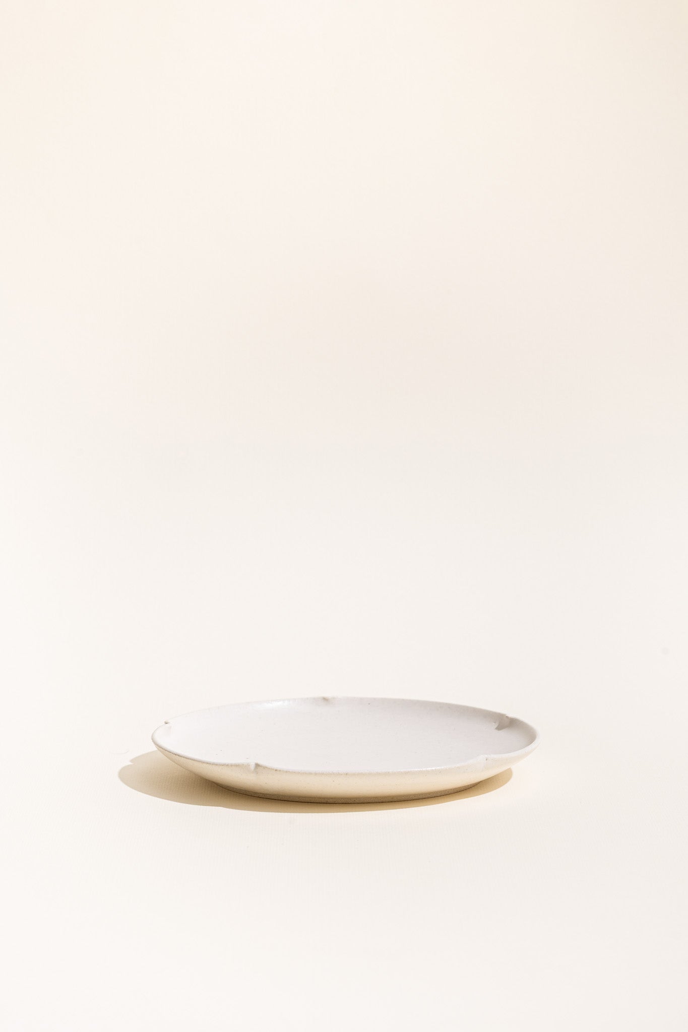 flower dish _ medium